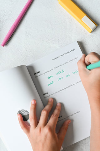 The Saga of The Seed: Genesis Bible Study