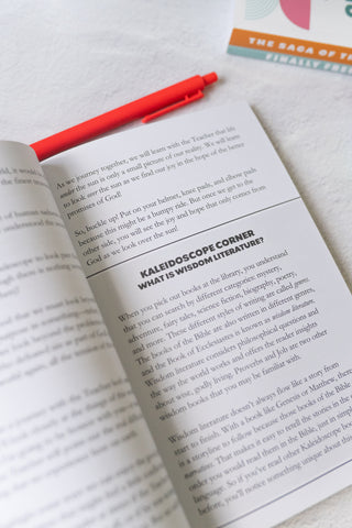 Over The Sun: Ecclesiastes Bible Study