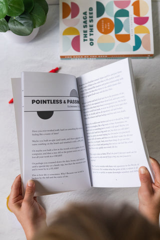 (Join the Waitlist) Over The Sun: Ecclesiastes Bible Study